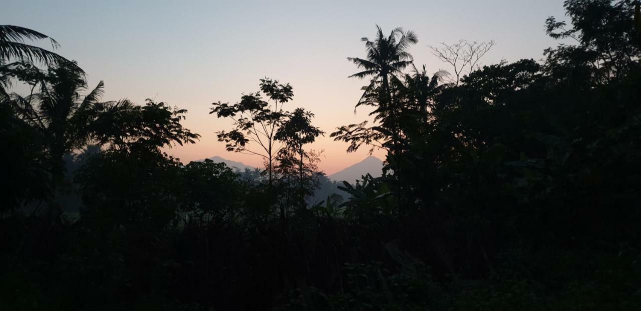 Anugrah Borobudur ماجلانج المظهر الخارجي الصورة